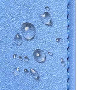 passport and vaccine card holder combo