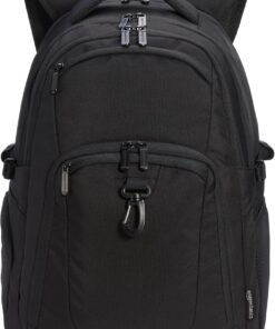 Amazon Basics Travel Laptop Backpack with Multiple Pockets and Compartments for 17 in / 43.1 cm Laptop, Water Resistant, Spacious with Padded Shoulder Straps, Black