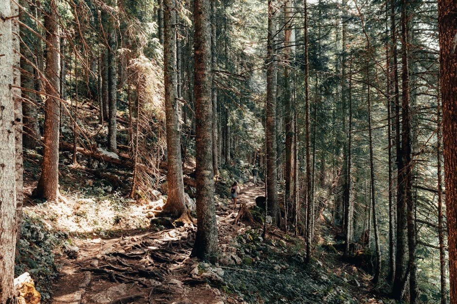 Best Hiking Trails in Europe for Nature Lovers Guide