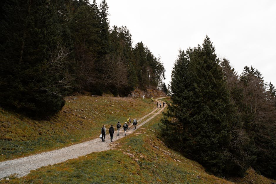 Best Hiking Trails in Europe for Nature Lovers Guide