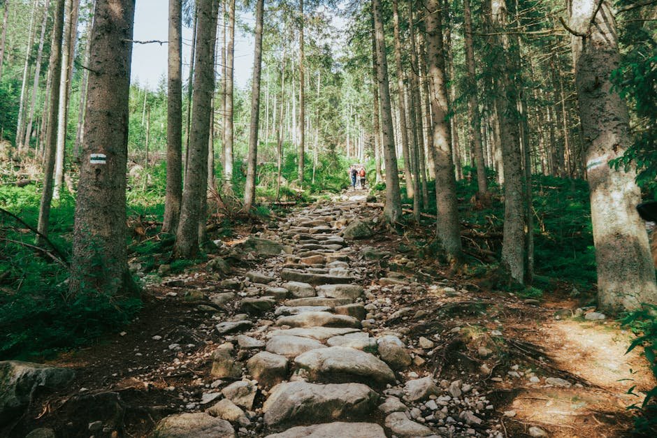 Best Hiking Trails in Europe for Nature Lovers Guide
