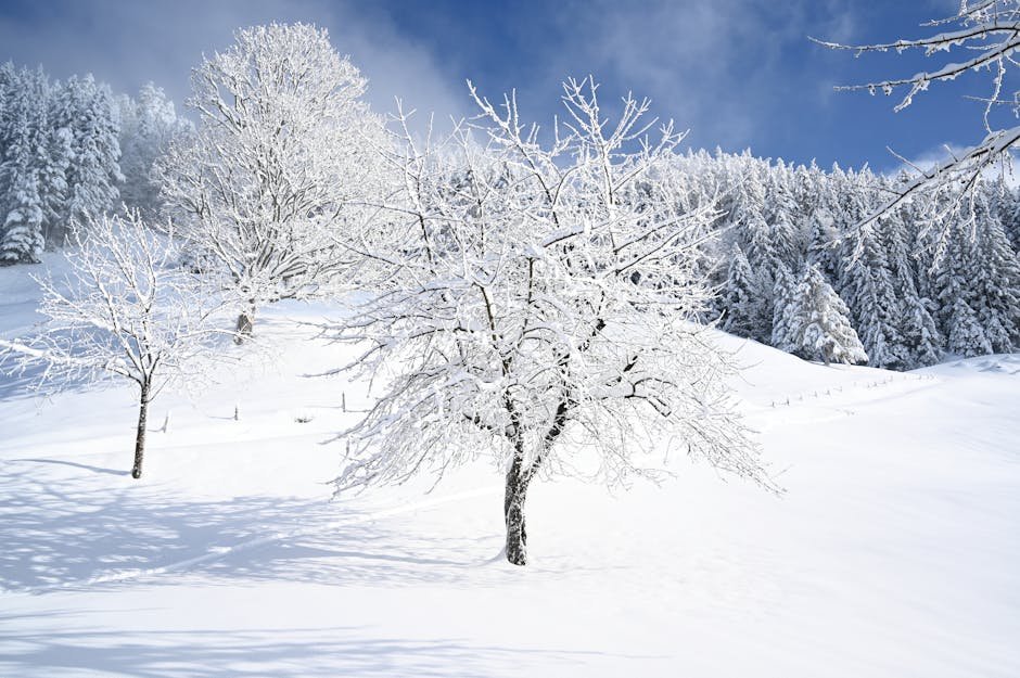 Best Places to Travel in Winter for Snow Experience