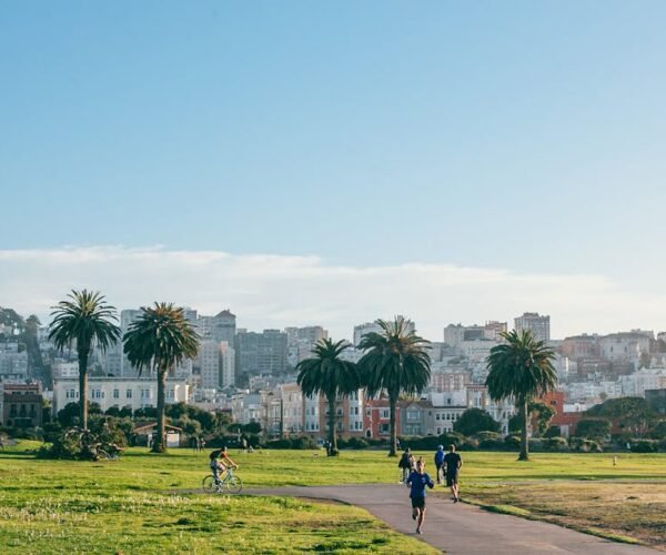 Best Hiking Trails for Beginners Near Cities Guide