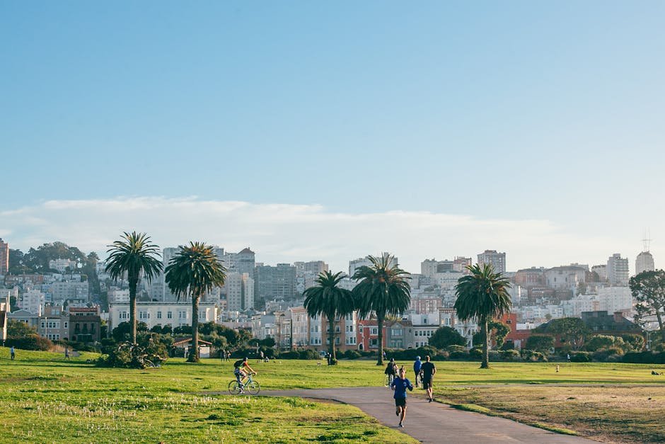 Best Hiking Trails for Beginners Near Cities Guide