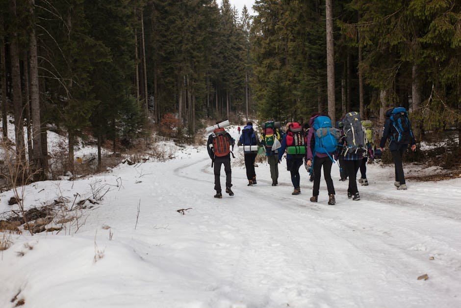 Best Outdoor Activities for Winter Adventure Trips