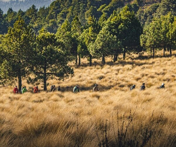 Best Outdoor Travel Destinations for Adventure Lovers