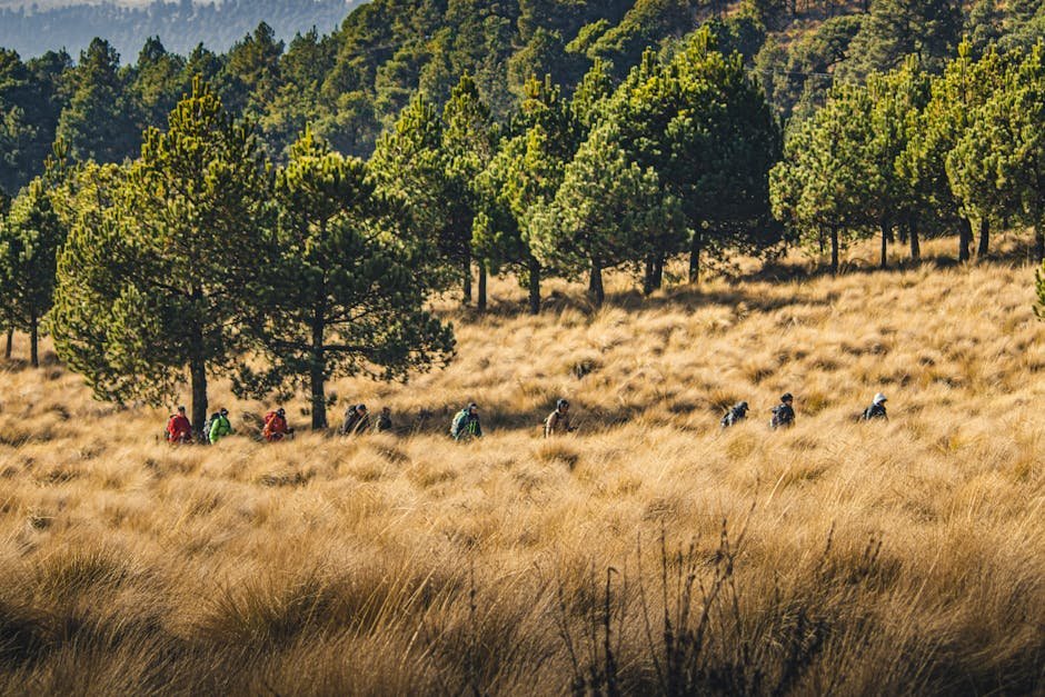 Best Outdoor Travel Destinations for Adventure Lovers