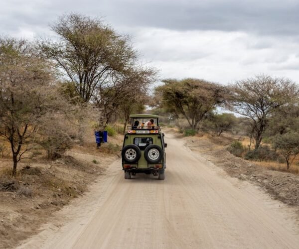 Best Places to Visit in Tanzania for Safari Lovers