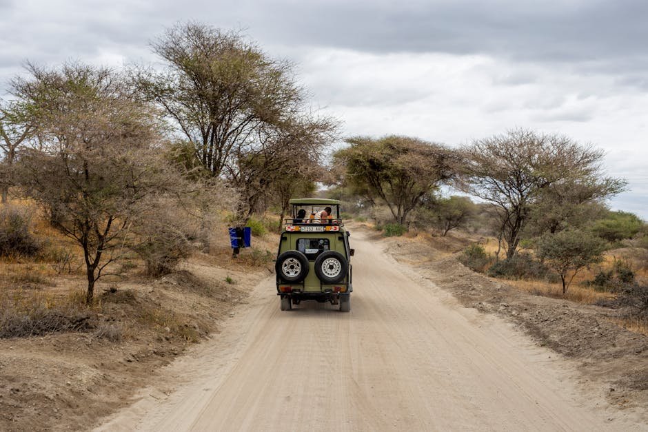 Best Places to Visit in Tanzania for Safari Lovers