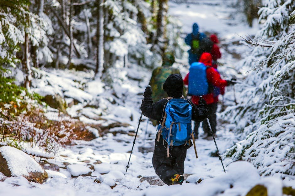 Best Trekking Destinations for First Time Hikers