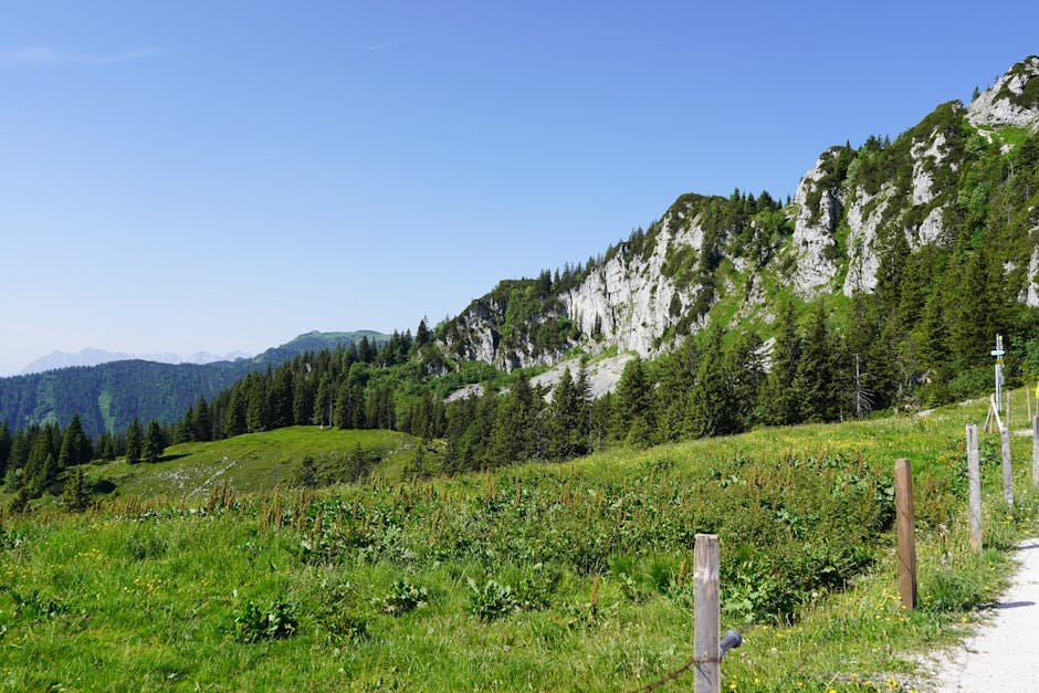 Best Hiking Destinations for Mountain Views