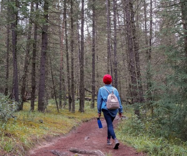 Top Hiking Trails for Solo Adventure Travelers Guide