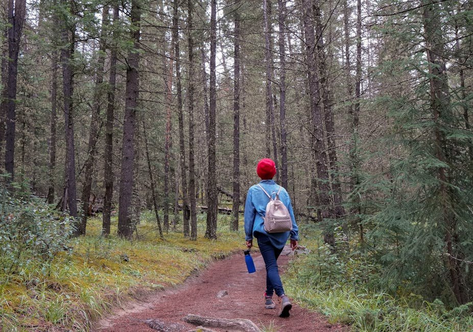 Top Hiking Trails for Solo Adventure Travelers Guide