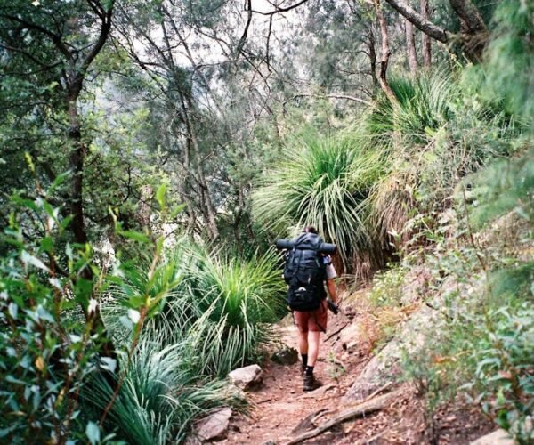 Top Hiking Trails in Australia for Nature Lovers Guide