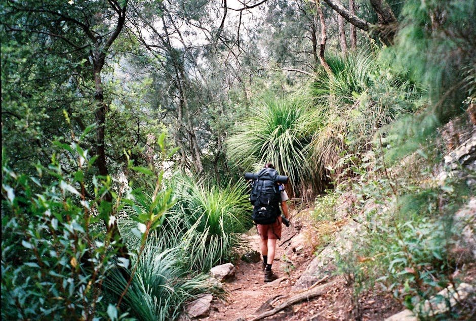 Top Hiking Trails in Australia for Nature Lovers Guide