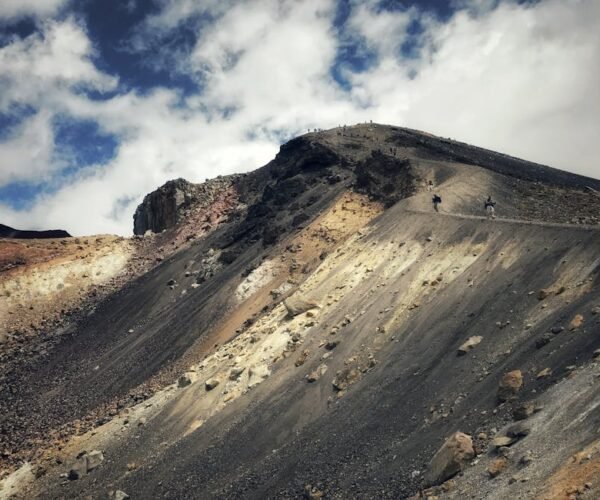 Top Hiking Trails in New Zealand for Adventure Lovers