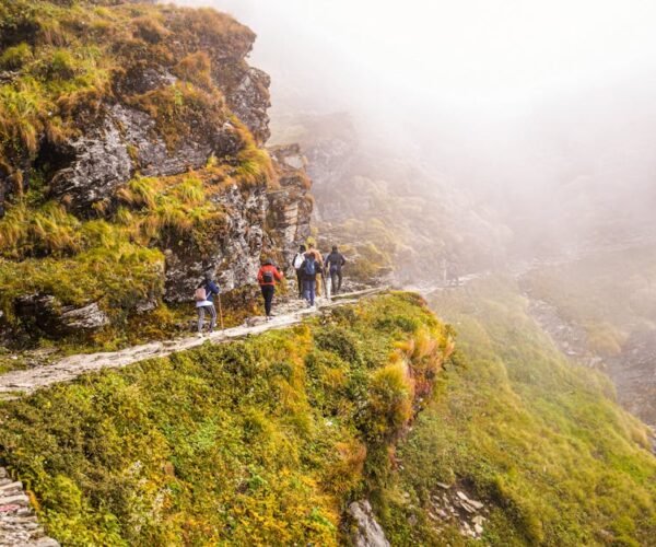 Top Trekking Destinations in India for Beginners Guide