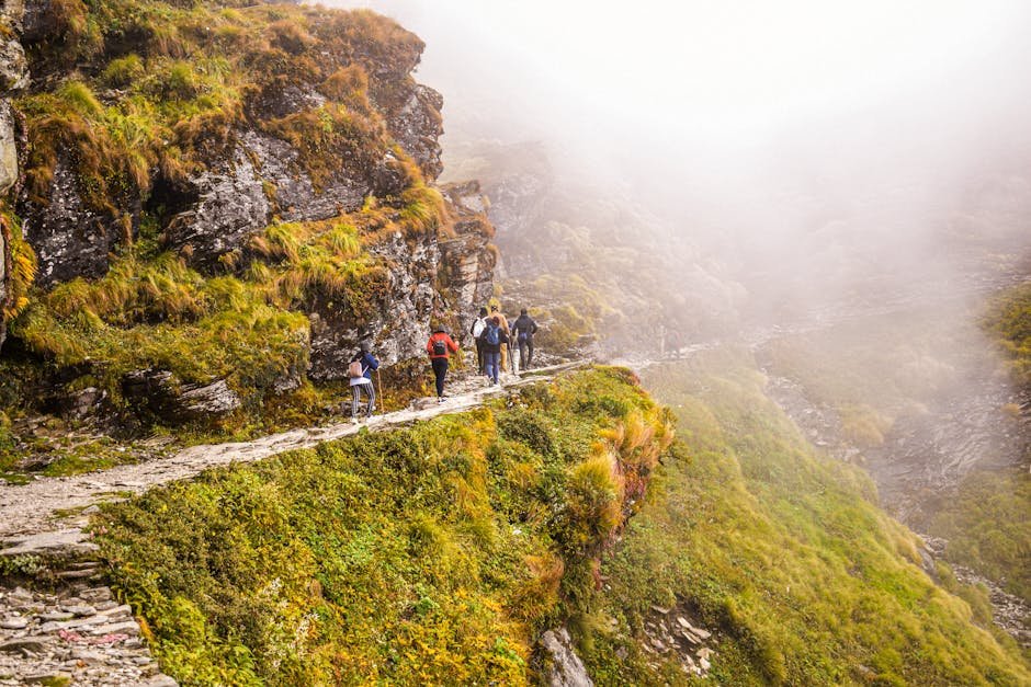 Top Trekking Destinations in India for Beginners Guide